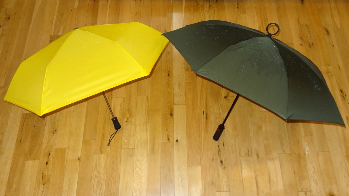 Hedgehog Umbrella and YESbrella