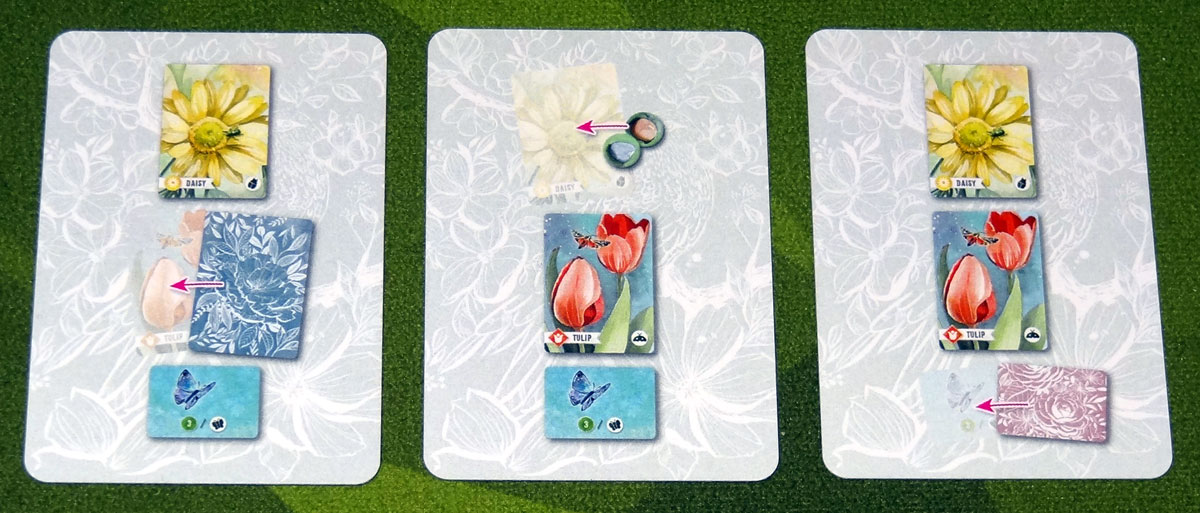 Floriferous crow action cards