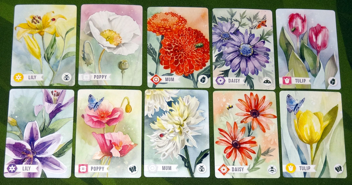 Floriferous Flower cards