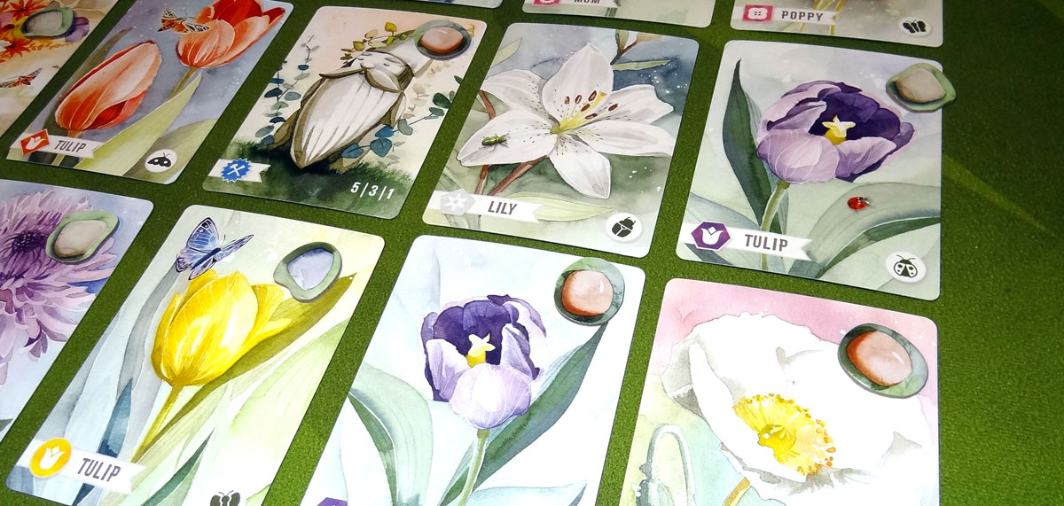 Floriferous gameplay