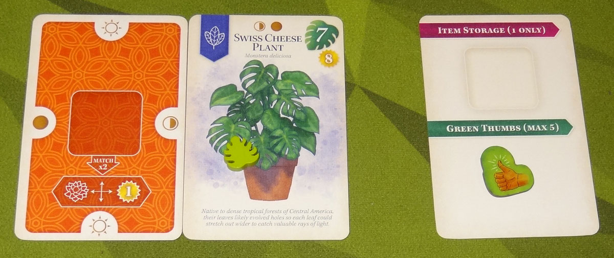 Verdant player setup