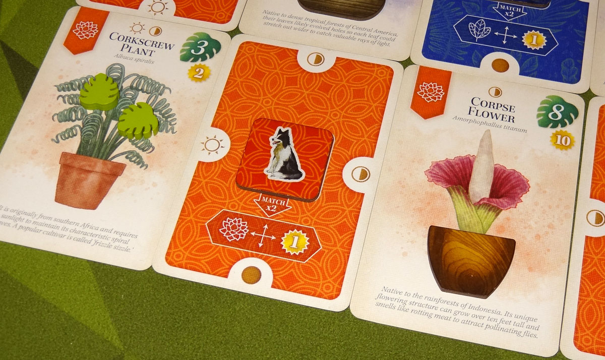 Verdant room scoring example