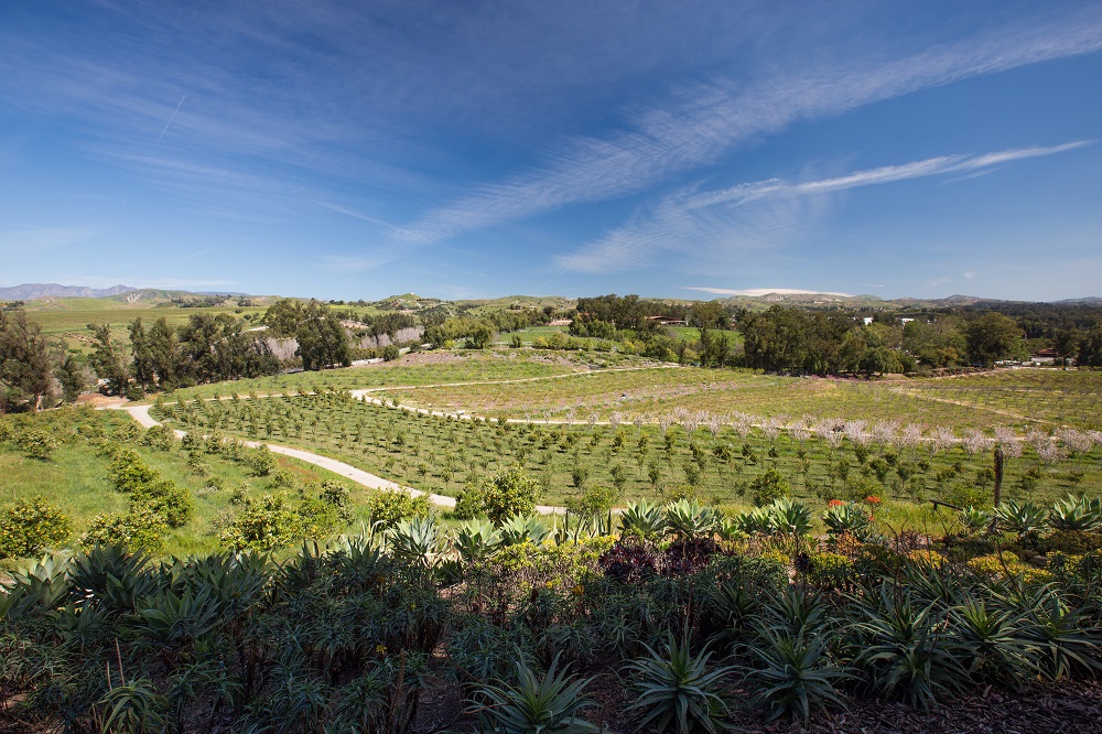 the farm