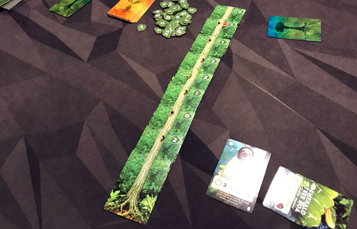 Canopy really tall tree