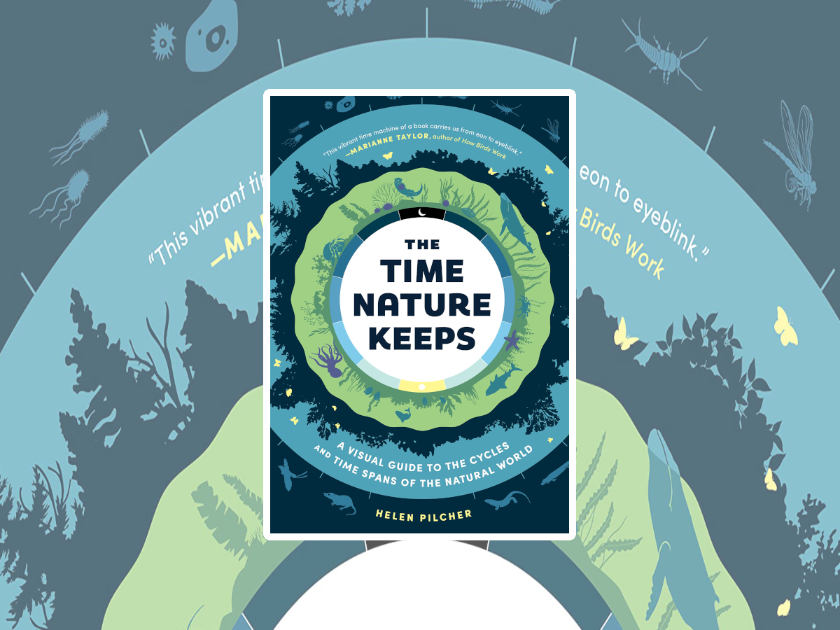 Time Nature Keeps Cover