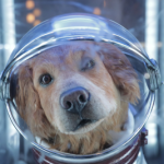 Cosmo