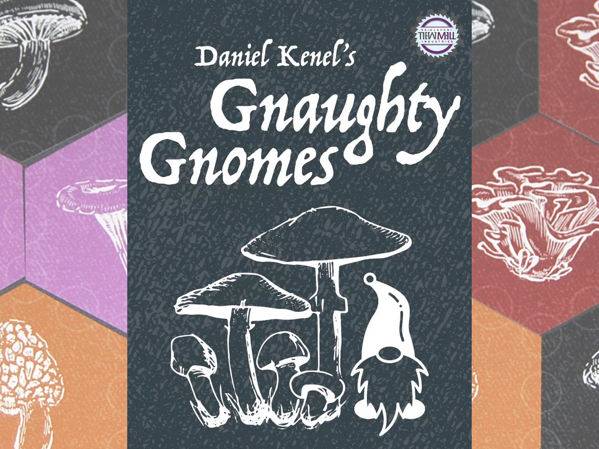 Gnaughty Gnomes box cover