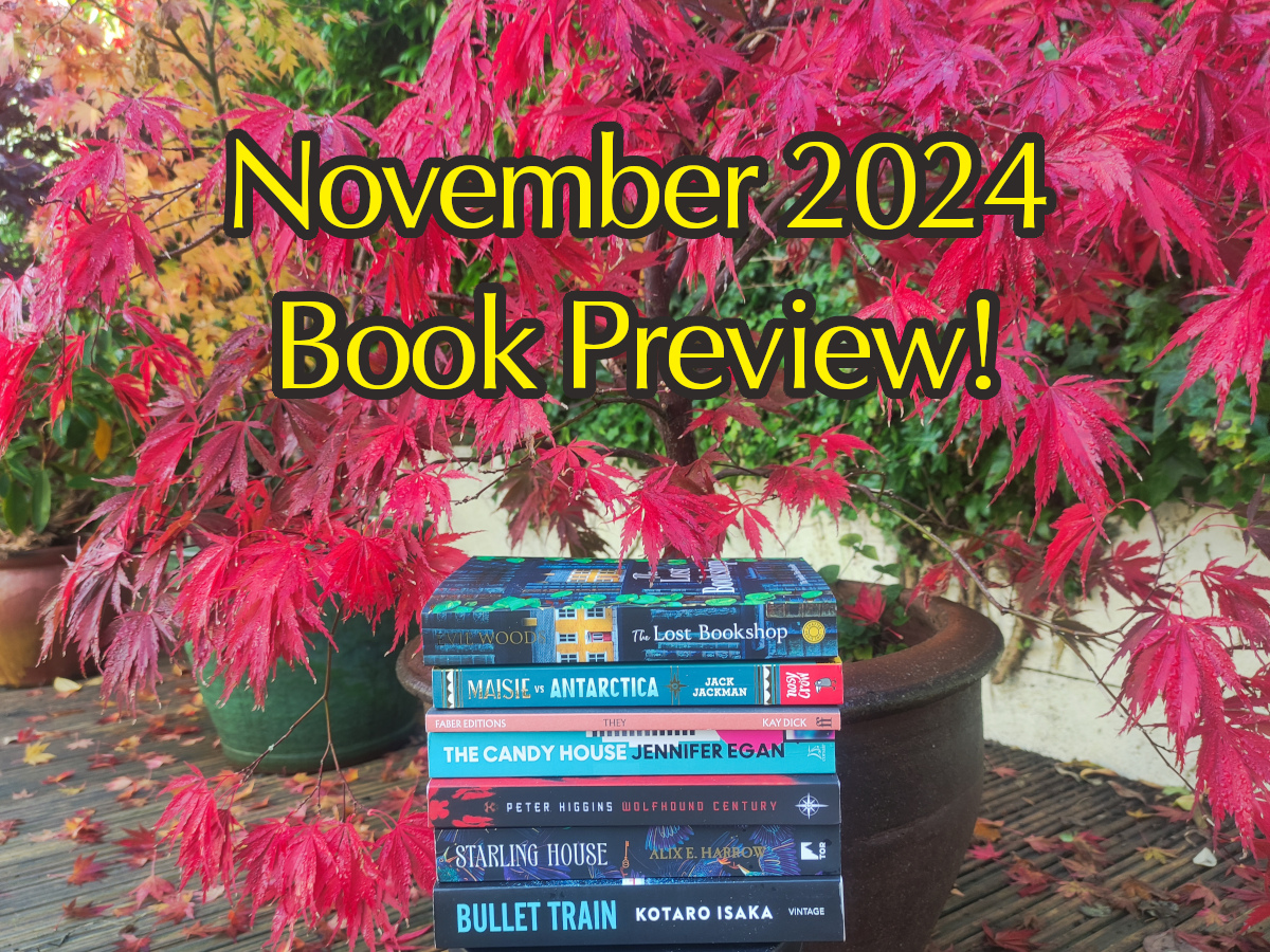 November 2024 Book Preview!