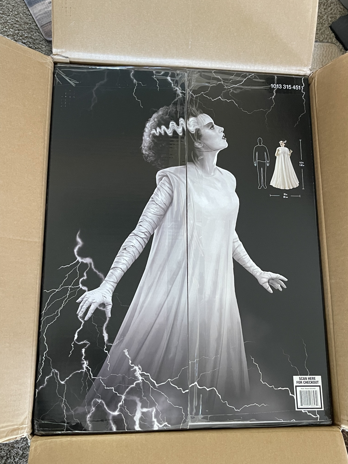 Highway to Halloween: The Universal 6 ft. Animated LED Bride of