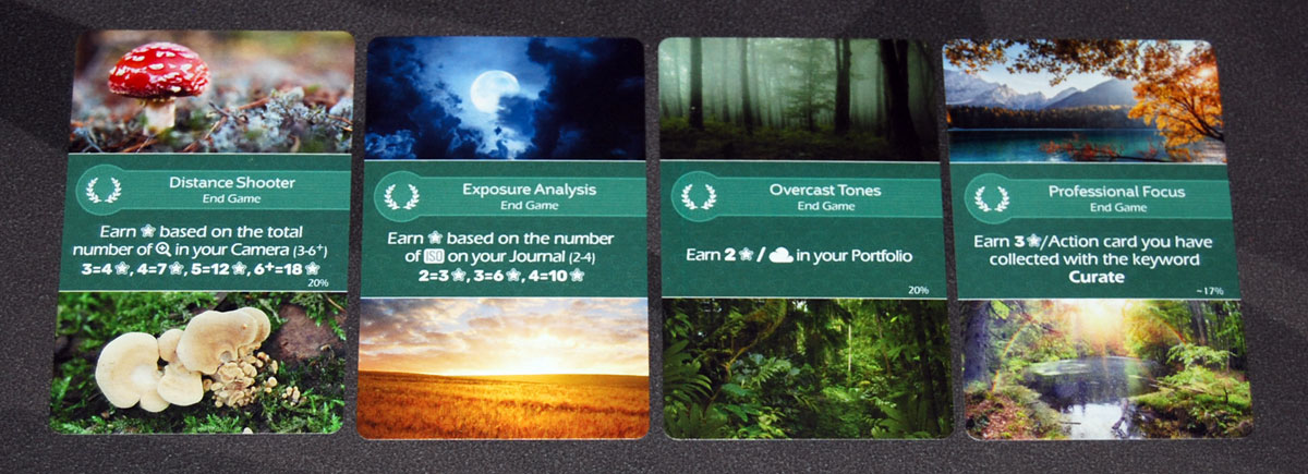Behind the Lens award cards