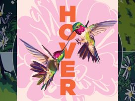 Hover box cover