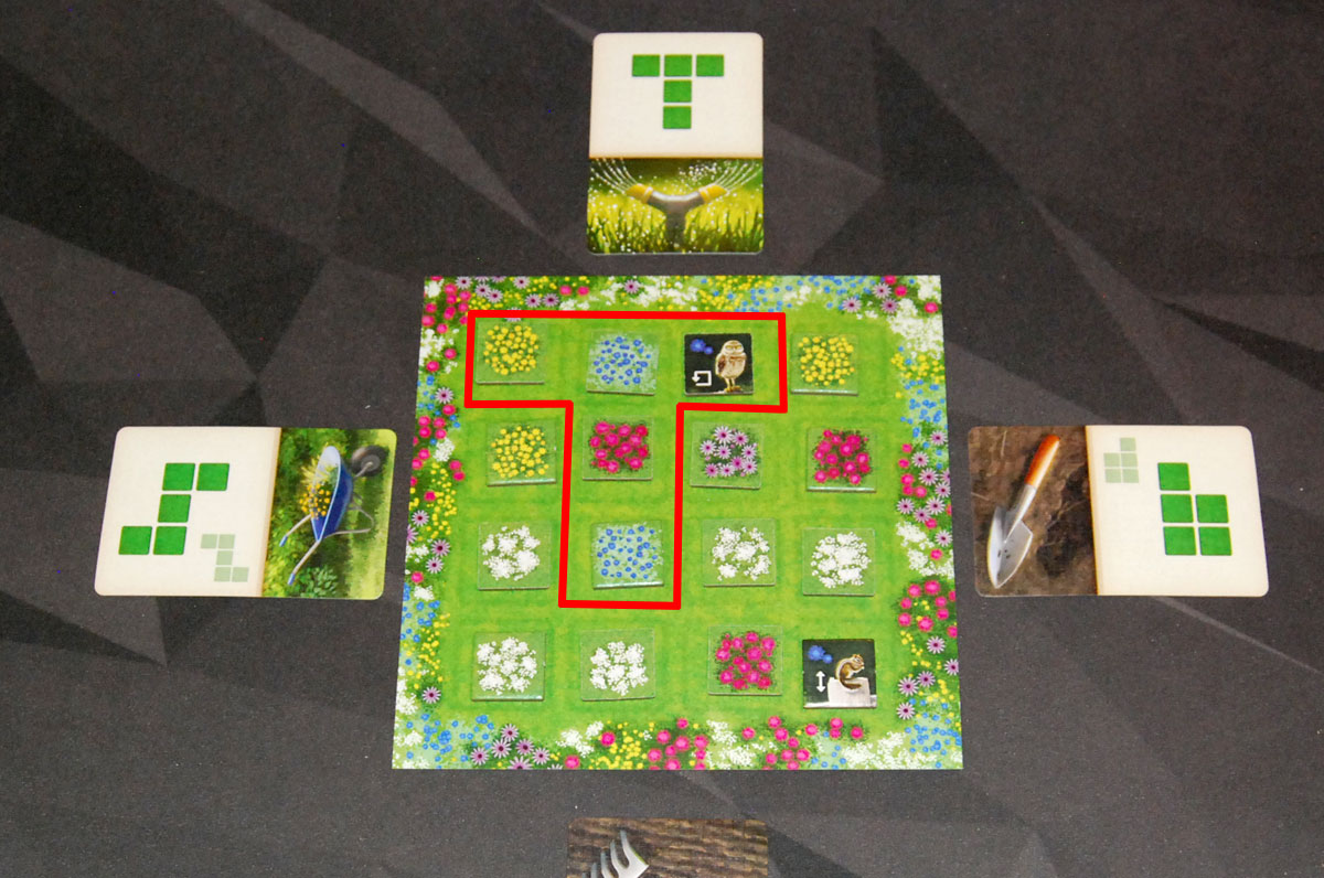 Perennial gathering phase