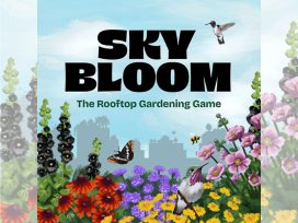 Sky Bloom box cover