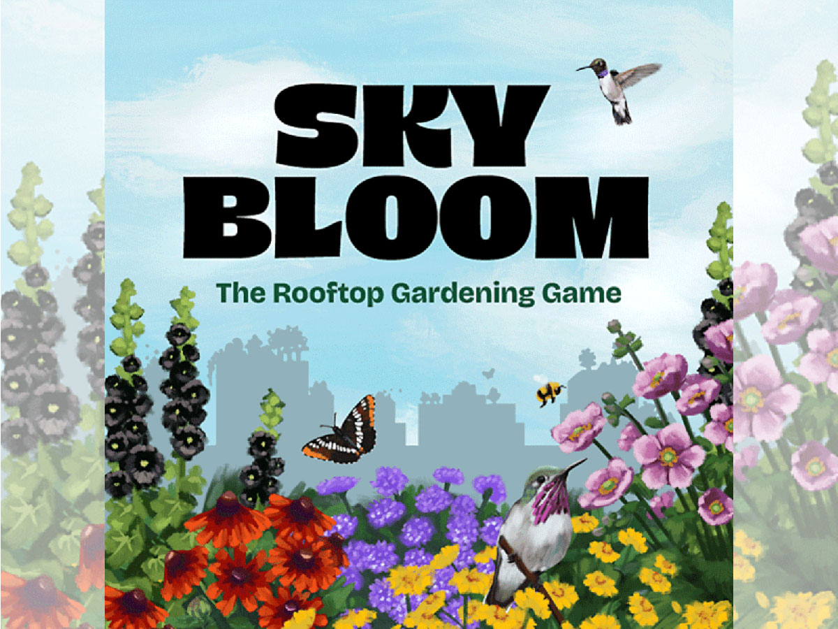 Sky Bloom box cover