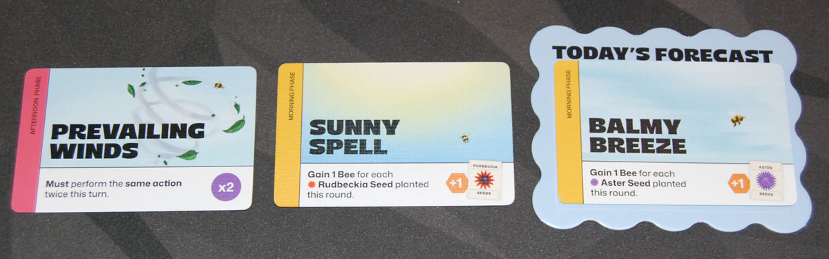 Sky Bloom Forecast cards